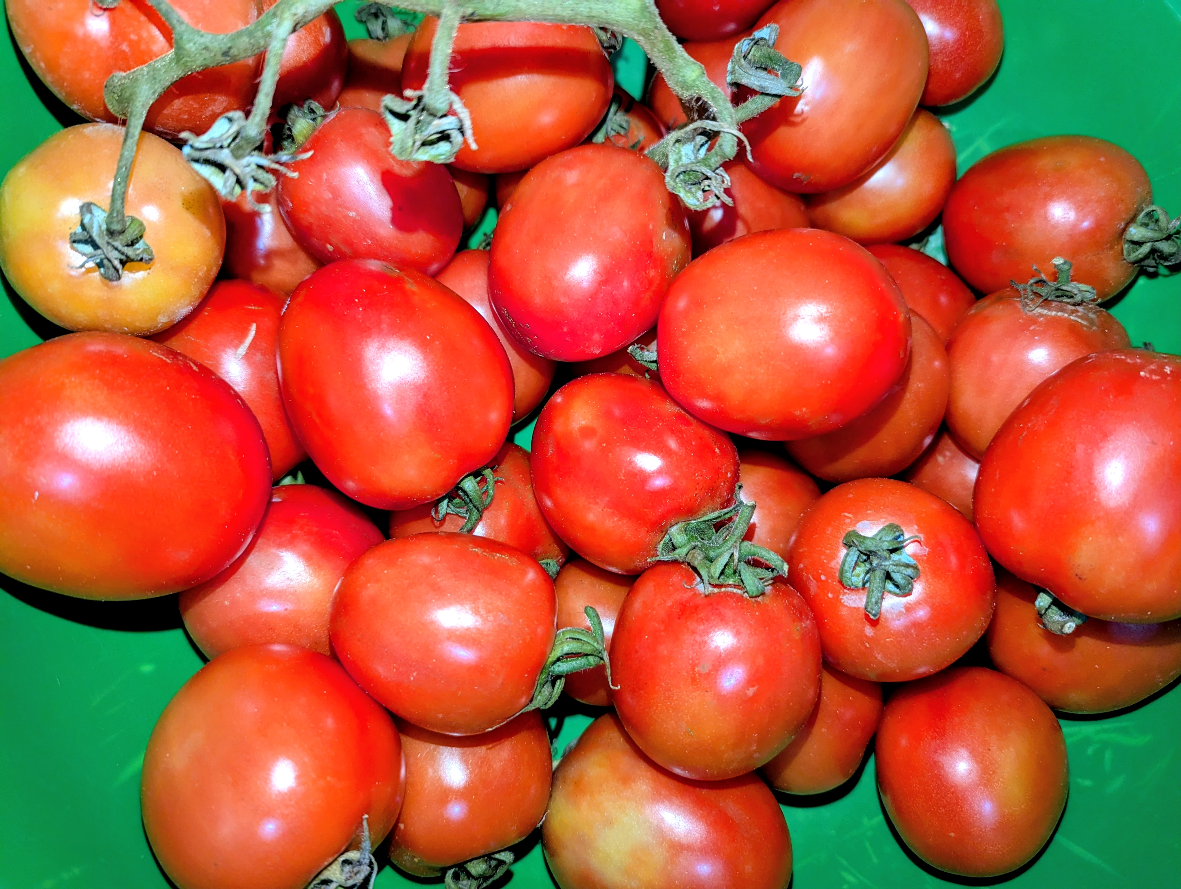 Yakongo Green farm