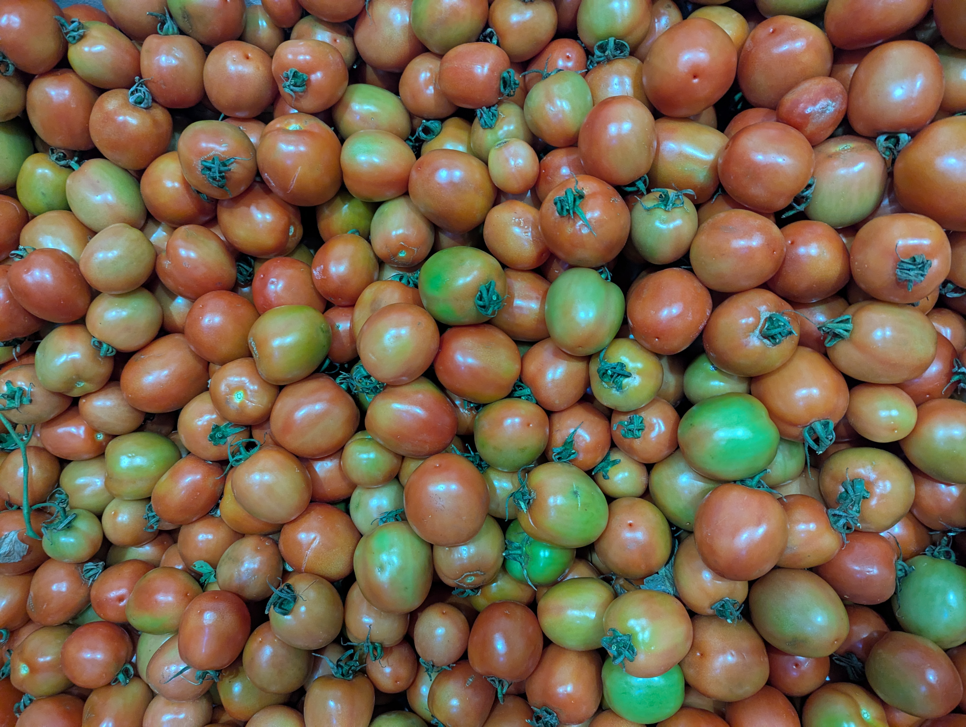 Activités agricoles